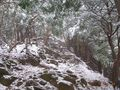 RIMG0019雪と岩の道