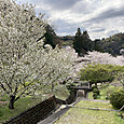 Img_0620