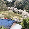 Img_0622