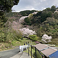 Img_0625
