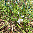 Img_0635