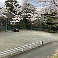 Img_0637