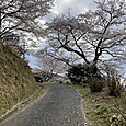 Img_0638