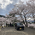 Img_0639