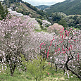 Img_0669