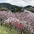 Img_0670