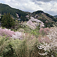 Img_0671