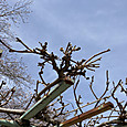 Img_0501