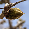 Img_0503