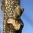 Img_0799