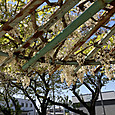 Img_0835
