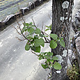 Img_0884