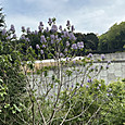 Img_1541