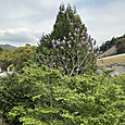 Img_1543