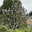 Img_1543_2