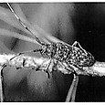 Img_1574