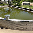 Img_1007