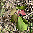 Img_0953