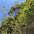Img_0955