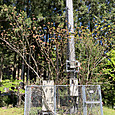 Img_0963