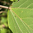 Img_1653