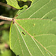 Img_1654