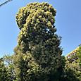 Img_1658