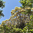 Img_1660