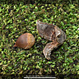 Img_1683