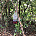 Img_1076