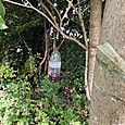 Img_1078