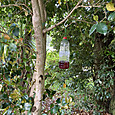 Img_1080