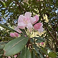 Img_1131