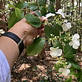 Img_1149