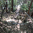 Img_1150