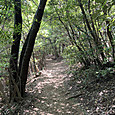 Img_1154
