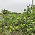 Img_1258