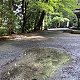 Img_1308