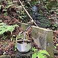 Img_1329