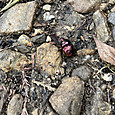 Img_1341_2