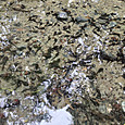 Img_1345