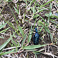 Img_1357