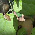 Img_2341
