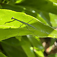 Img_2355