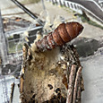 Img_2580