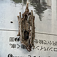 Img_2586