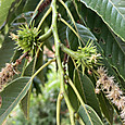 Img_1620