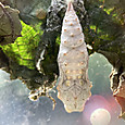 Img_1671