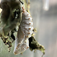 Img_1675