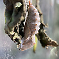 Img_1677